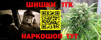jwh Бийск