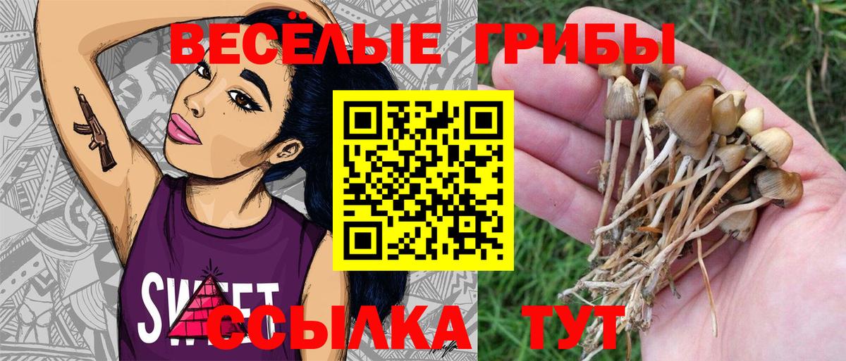 Галлюциногенные грибы MAGIC MUSHROOMS Кизляр