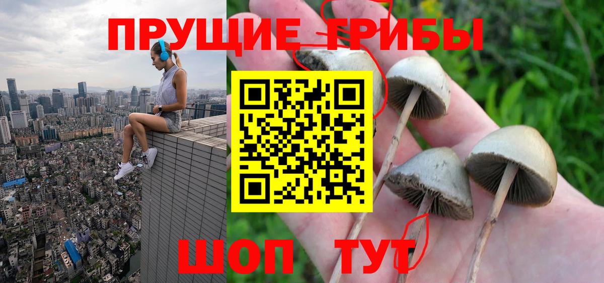 Кизляр  Галлюциногенные грибы ЛСД  Вход с VPN 